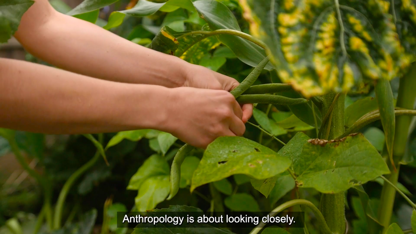 Living on Nine Earths