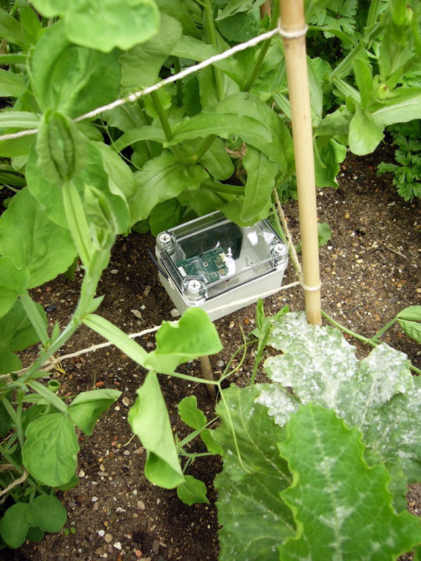 Sensor network at Kew Gardens, London